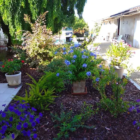 L'acacia Oda ve Kahvaltı 3*